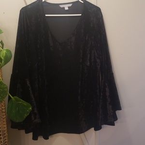 Plus size crushed velvet top.  Beautiful!